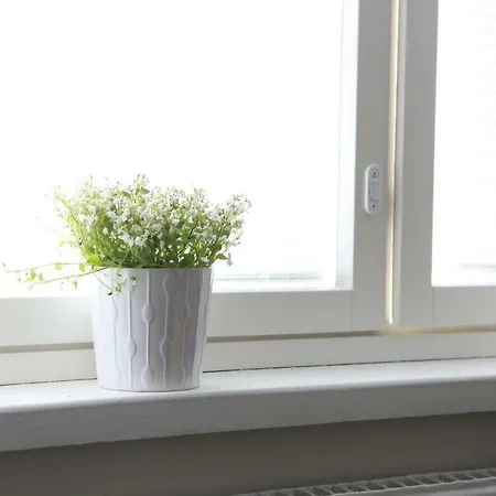 Orchidea * Helsinki